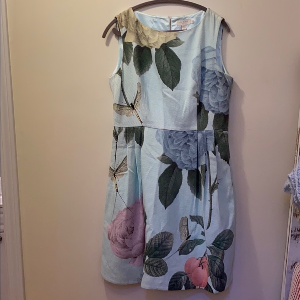 Ted Baker Skater Dress with pockets